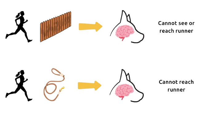 Diagram illustrating the addition of management using a fence and a leash.